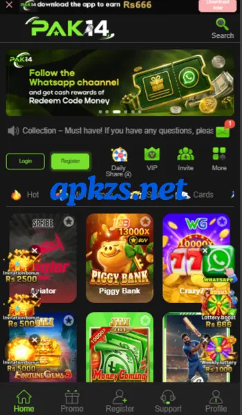 Pak14 game